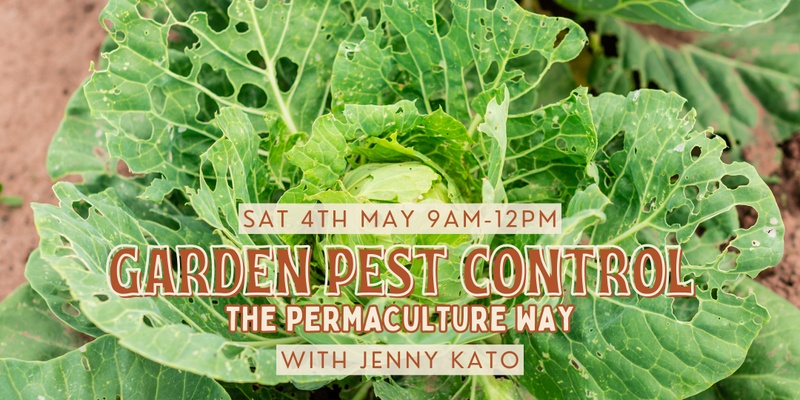 Garden Pest Control: The Permaculture Way with Jenny Kato