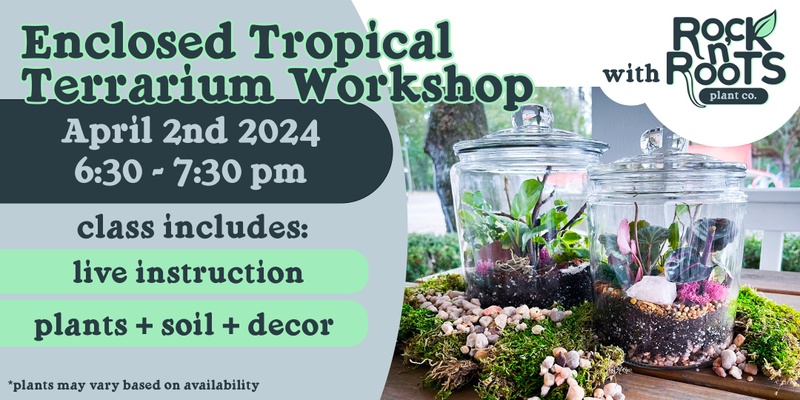 Enclosed Tropical Terrarium Workshop at Rock n' Roots Plant Co. (Charleston, SC)