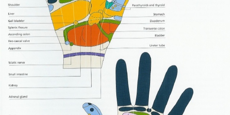 Hand reflexology for all