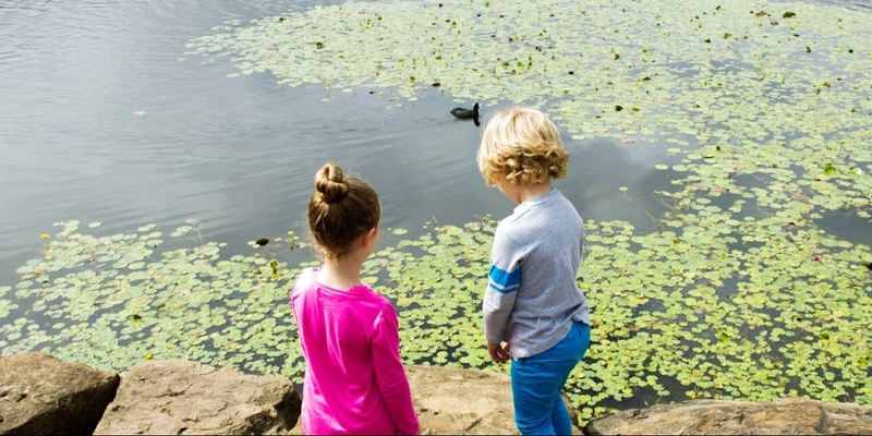 Wild Water Dreaming at Mount Annan