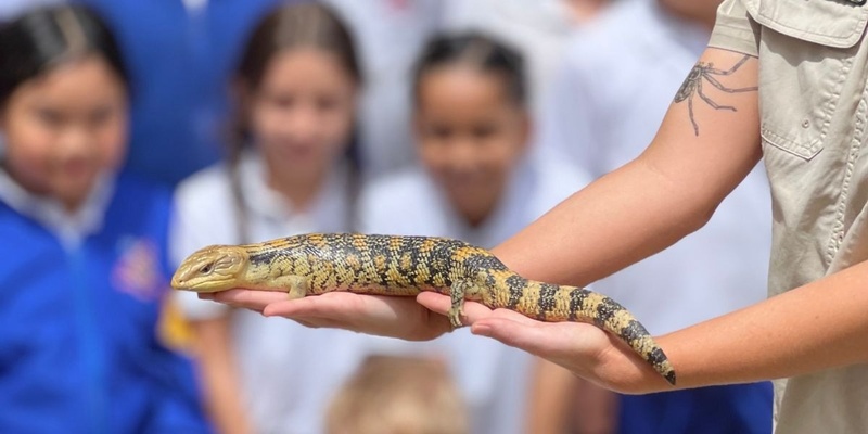 Feature Creatures Kids Reptile Show