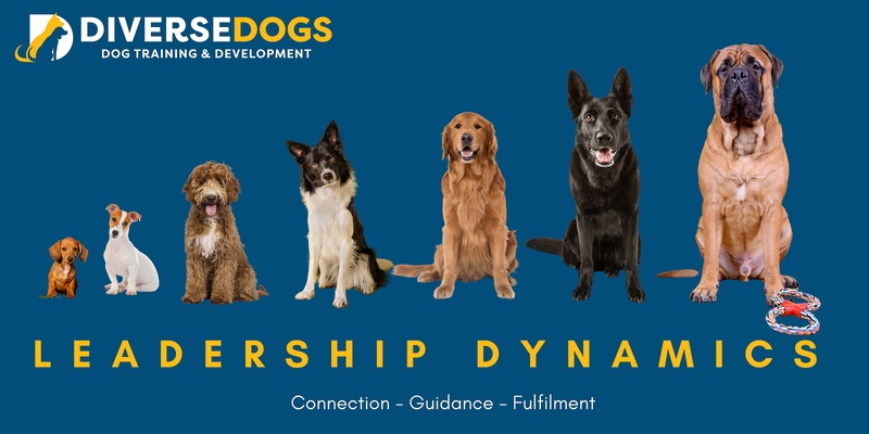 DIVERSE DOGS LEADERSHIP DYNAMICS WORKSHOP
