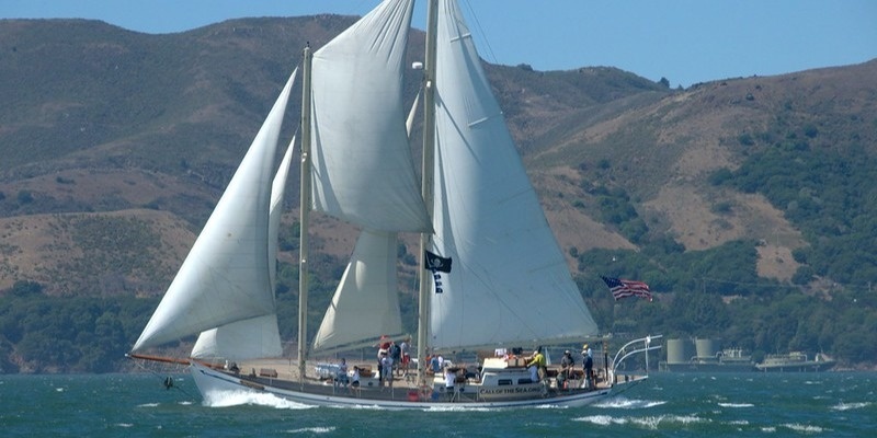 Sail GP viewing cruise on schooner Seaward