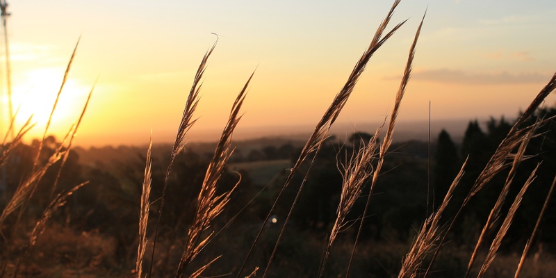 7 Seasons - Tintern Grammar and Yarra Valley Grammar 