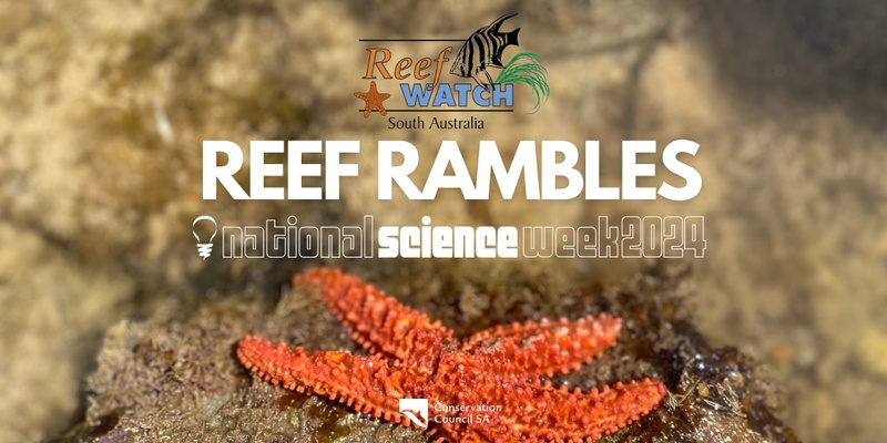 Reef Rambles at Robe - Saturday August 10