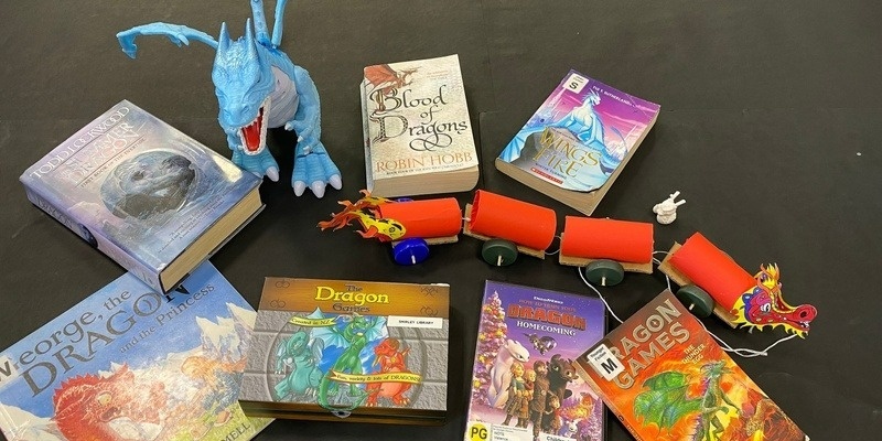 Shirley Library - Dragon VR Games - 12+ years - H1F