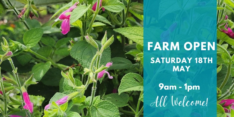 Basilea Farm Open Day 