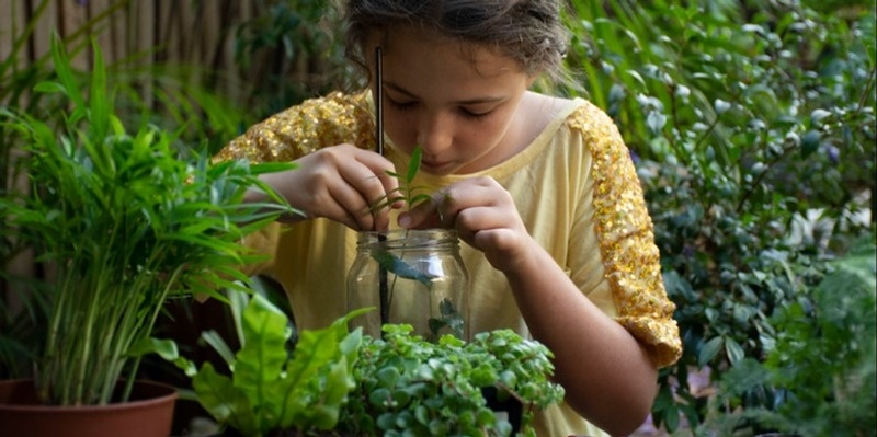 Rainforest in a Jar - Royal Botanic Garden Sydney