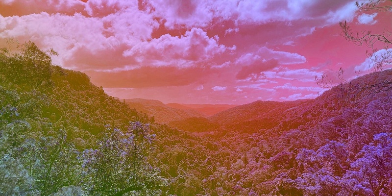 Meditative Walking Sunset Experience - Mapleton Falls National Park