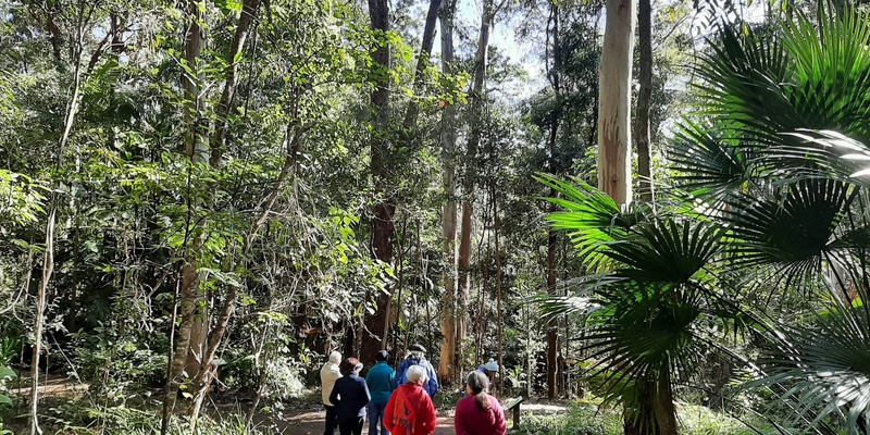 Nature connection & journaling workshop at Foote Sanctuary 5 Feb 25