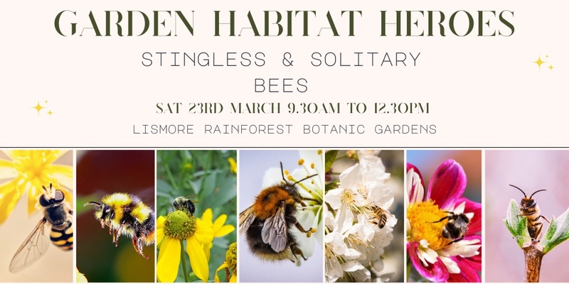 Garden Habitat Heroes: Stingless & Solitary Bees