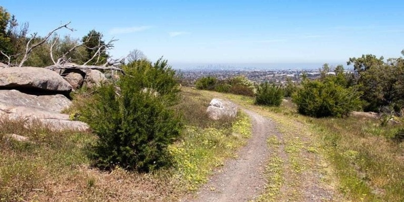 Kanga’s and Ruins of Woodlands Park / Gellibrand Hill - Grade 3 (Medium)