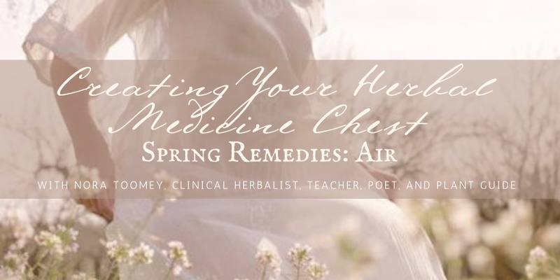 Creating Your Herbal Medicine Chest: Spring Remedies