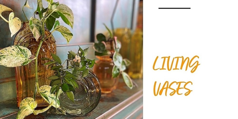 Living Vases Workshop 