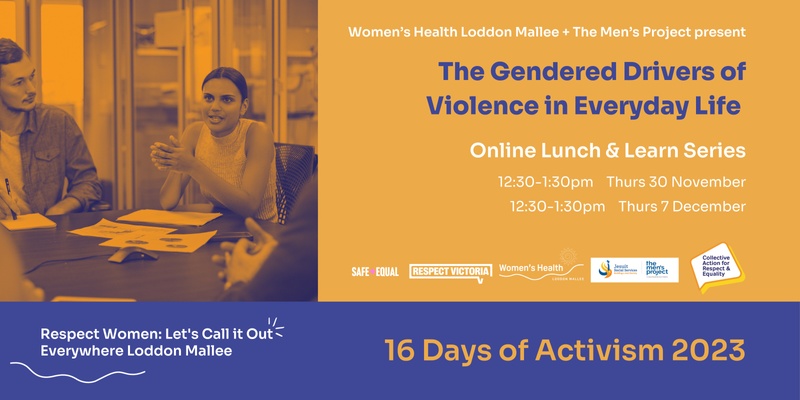 The Gendered Drivers of Violence in Everyday Life -  a Lunch & Learn Series