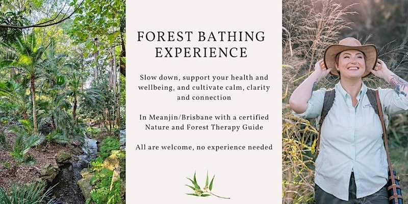 Forest Bathing - Experience A Mindful Wander in Nature (Brisbane)