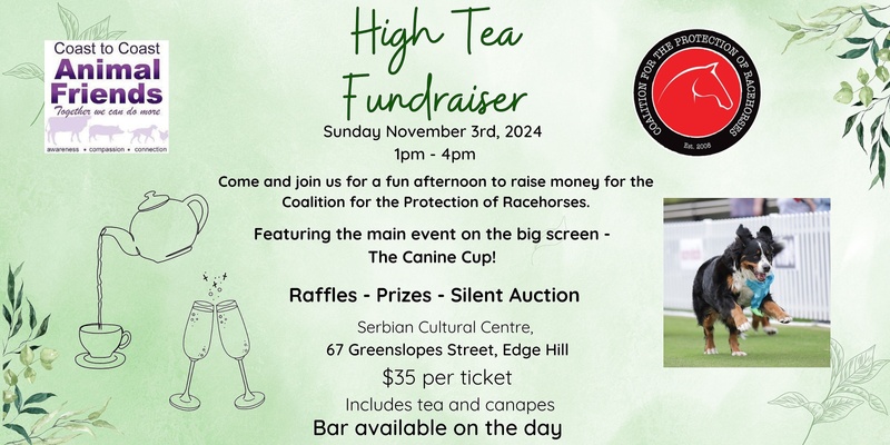 High Tea for Racehorses Fundraiser Featuring the Canine Cup 2024