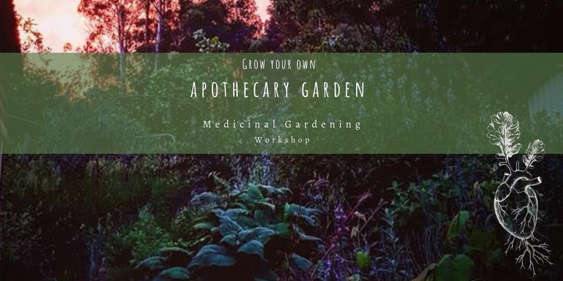 The Apothecary Garden 
