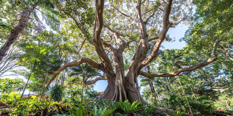 Summer Solstice Day Yoga Retreat in the Byron Hinterland with Delamay Devi