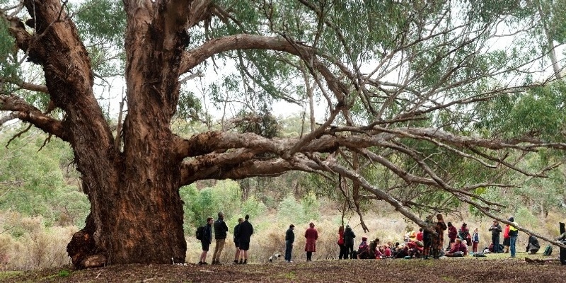 Healthy Waterways at Forest Creek Chewton- A Network Meeting with a Difference