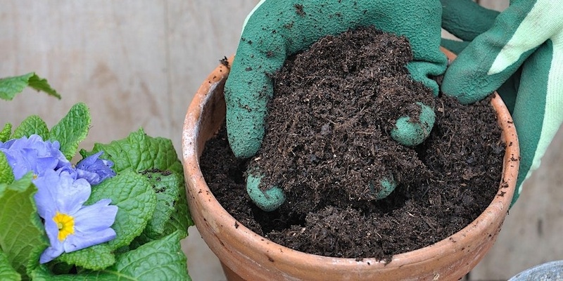 Recycle your pots, make your own potting mix and pot your own cuttings to take home!