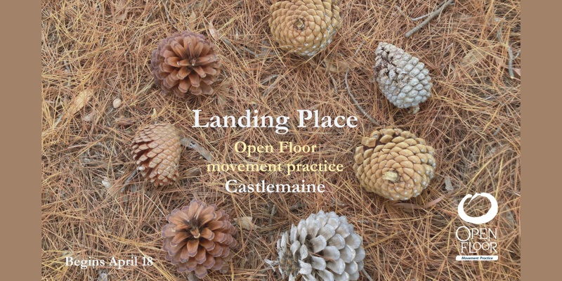 Landing Place - Open Floor series, Castlemaine