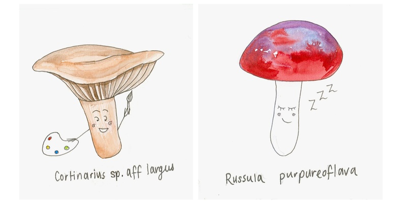 FUNGI FRIENDS for KIDS: Design your own Mushroom Character