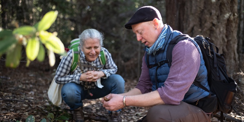 Somatic Mycelial Walk, Communing with the Forest 