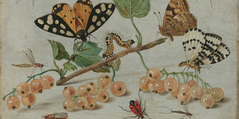 Virtual Seminar Series on Insects and Arachnids in Art: Juliane Rohrwacher and Rubina 