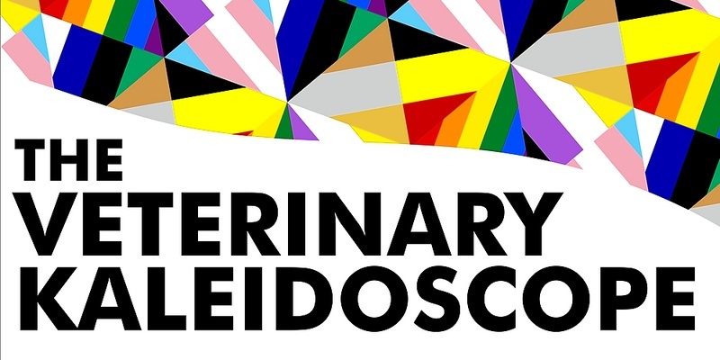 The Veterinary Kaleidoscope Summit 2024