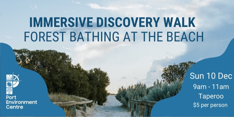 Immersive Discovery Walk: forest bathing at the beach