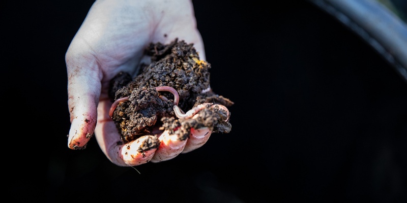 National Recycling Week - Setting up a worm farm