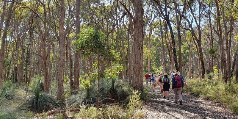 Grass trees and Forest Walk, Woowookerung Regional Park - Grade 2 (Easy)