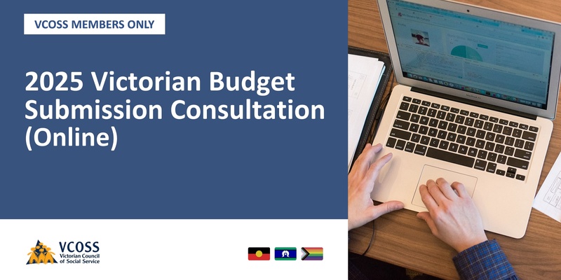 2025 Victorian Budget Submission Online Consultation