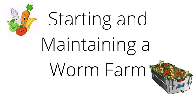 Starting and Maintaining a Worm Farm