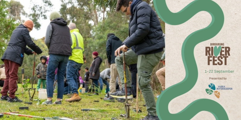 National Wattle Day Community Planting