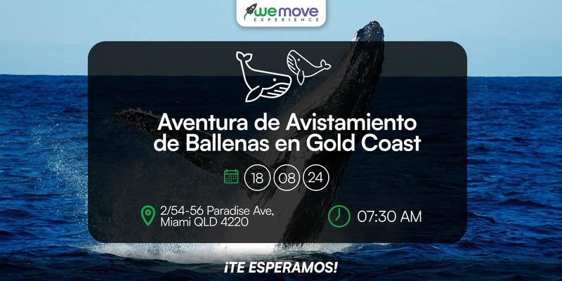 Aventura de Avistamiento de Ballenas en Gold Coast