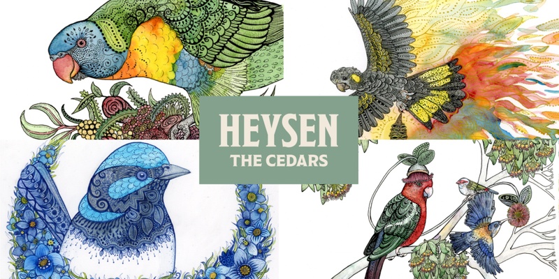 Birds of The Cedars painting workshops