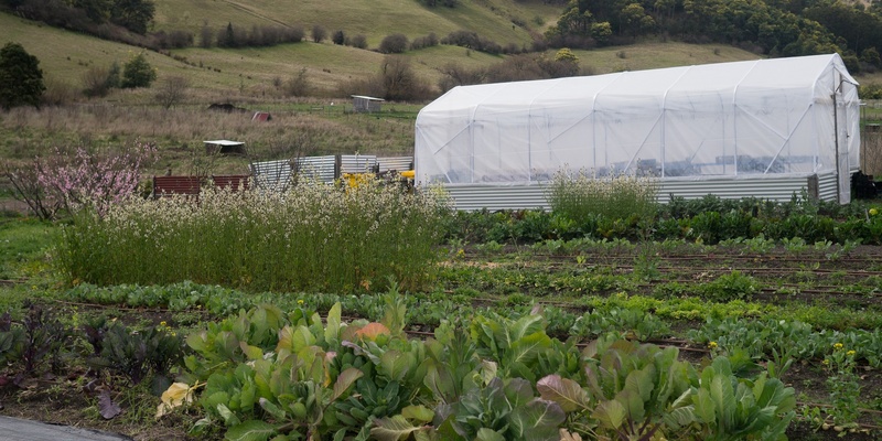 Market Garden Workshop - Soil Health