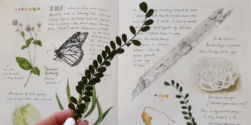 Nature Journaling Weekend Workshop  - with Dr Tabatha Forbes