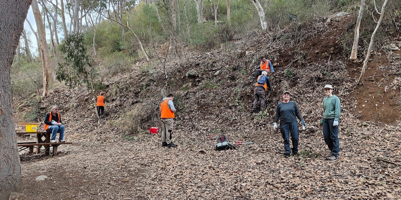 First Falls Project habitat restoration