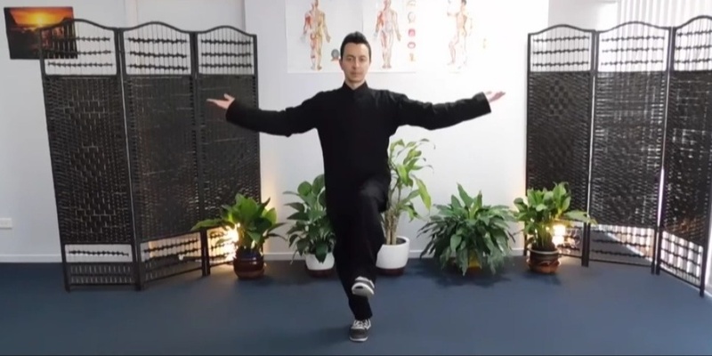 Qigong & Meditation in Motion 