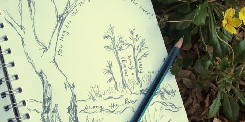 Nature Journaling Workshop (all ages, 7 and up)