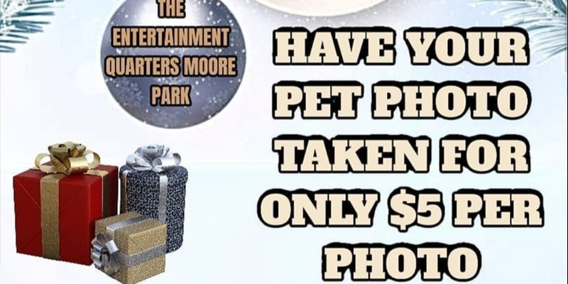 Moore Park  Christmas Photo Shoot 