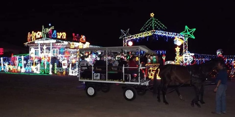 Dalby Christmas Light Carriage rides