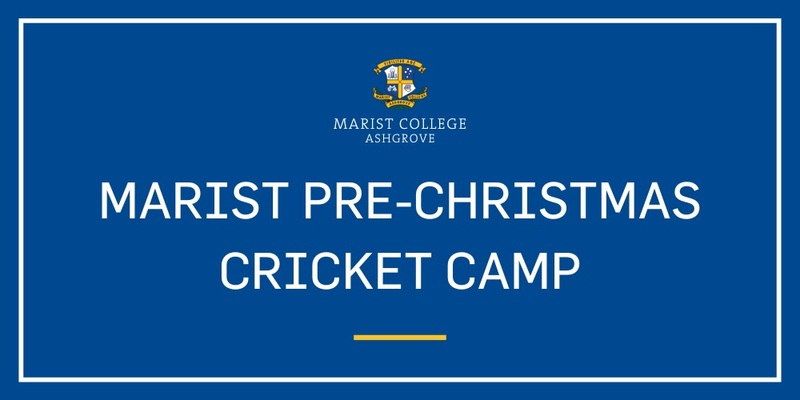 Pre-Christmas Cricket Camp