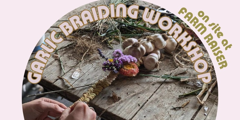 On Farm Garlic Braiding Workshop