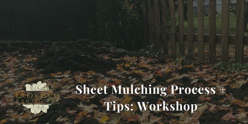 Sheet Mulching Process + Tips Workshop