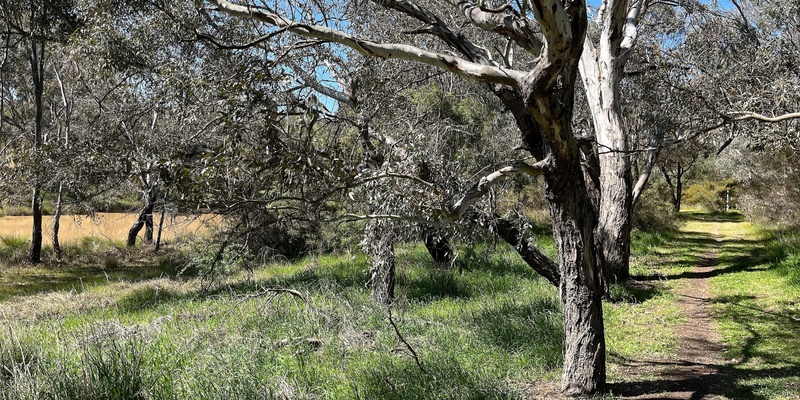 6/5 Mile Creek Community Stewardship Morning