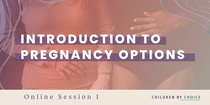 Introduction to Pregnancy Options